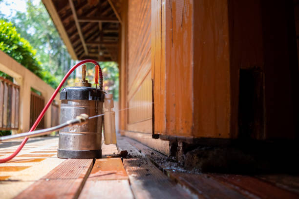 Best Mosquito Control Services  in Iowa, LA